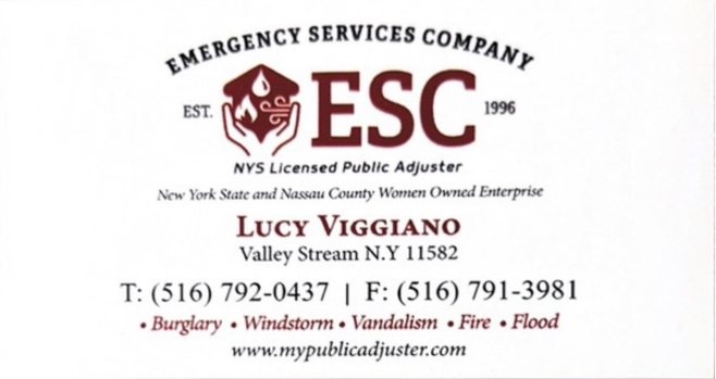 Emergency Services Company — Lucy Viggiano